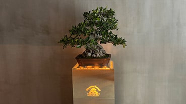 オンラインでのサポートもOK